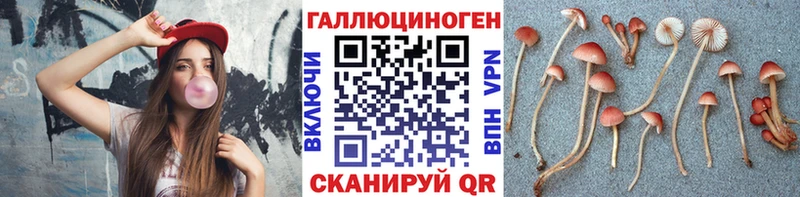 Псилоцибиновые грибы мицелий  Купить  Шуя 